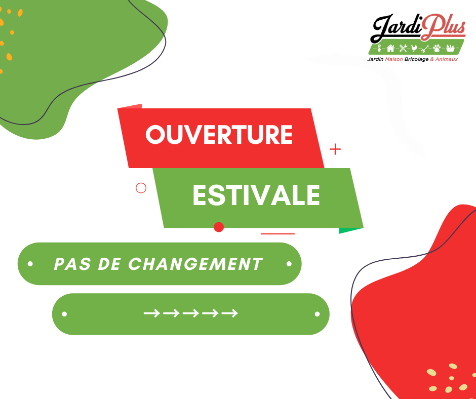 Ouverture Estivale