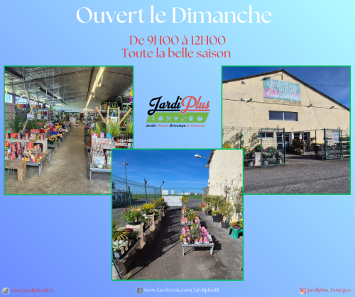 Ouverture du Dimanche